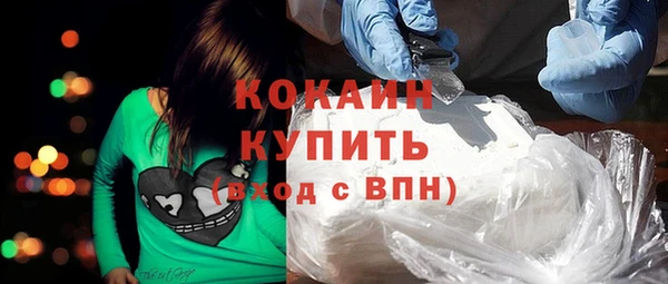 прущие грибы Зерноград
