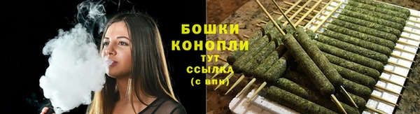 прущие грибы Зерноград