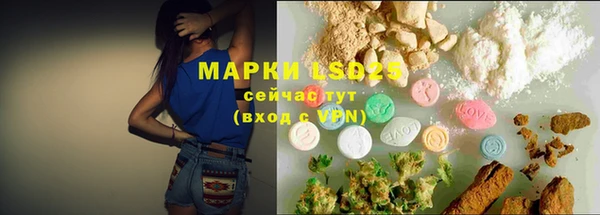 прущие грибы Иннополис