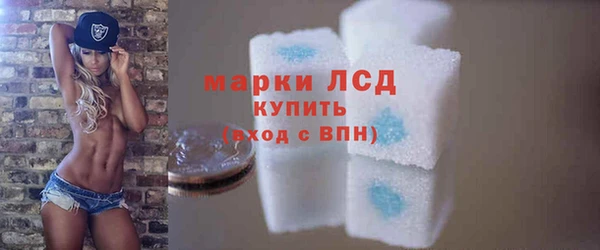 прущие грибы Иннополис