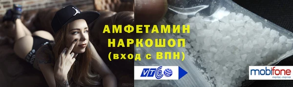 прущие грибы Иннополис