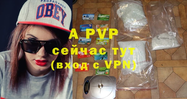 прущие грибы Зерноград