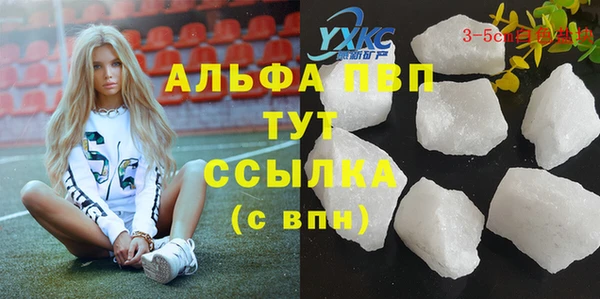 кокс Инсар