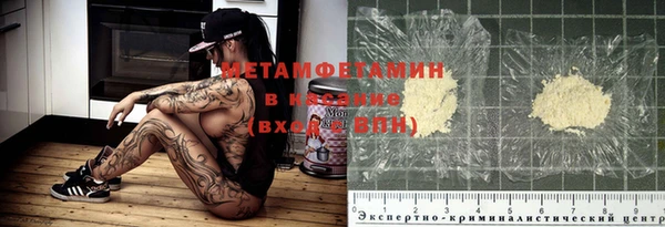 прущие грибы Зерноград