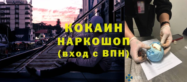 прущие грибы Иннополис